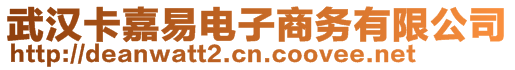 武漢卡嘉易電子商務有限公司