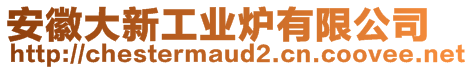 安徽大新工業(yè)爐有限公司