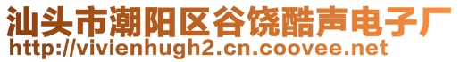 汕頭市潮陽區(qū)谷饒酷聲電子廠