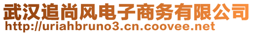 武漢追尚風電子商務有限公司