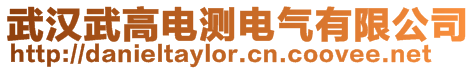 武汉武高电测电气有限公司