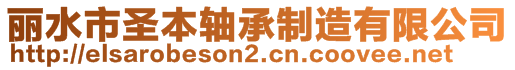 麗水市圣本軸承制造有限公司