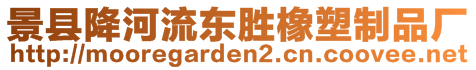 景縣降河流東勝橡塑制品廠