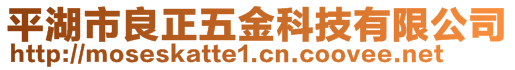 平湖市良正五金科技有限公司