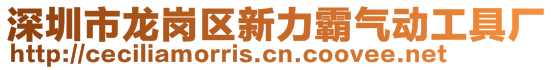 深圳市龍崗區(qū)新力霸氣動(dòng)工具廠