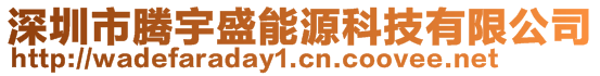 深圳市騰宇盛能源科技有限公司