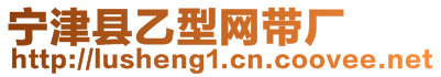寧津縣乙型網(wǎng)帶廠