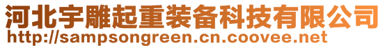 河北宇雕起重裝備科技有限公司