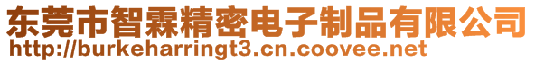 東莞市智霖精密電子制品有限公司