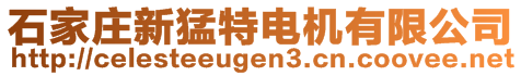 石家莊新猛特電機(jī)有限公司