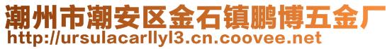 潮州市潮安區金石鎮鵬博五金廠