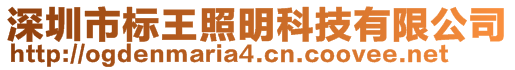 深圳市標(biāo)王照明科技有限公司