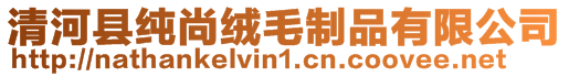 清河縣純尚絨毛制品有限公司