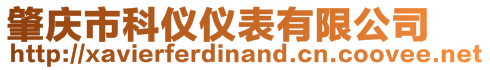 肇慶市科儀儀表有限公司