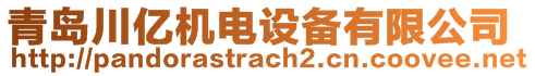 青島川億機(jī)電設(shè)備有限公司