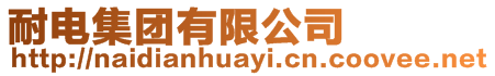 耐電集團(tuán)有限公司