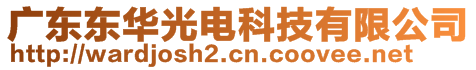 广东东华光电科技有限公司