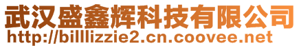 武汉盛鑫辉科技有限公司