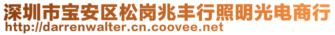 深圳市寶安區(qū)松崗兆豐行照明光電商行