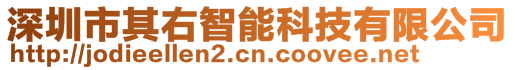 深圳市其右智能科技有限公司