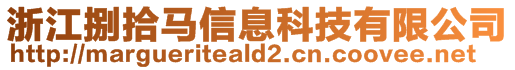 浙江捌拾马信息科技有限公司