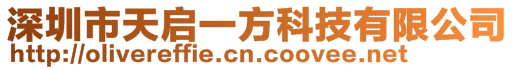 深圳市天啟一方科技有限公司