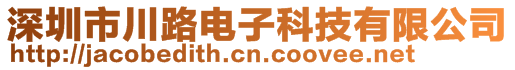 深圳市川路电子科技有限公司