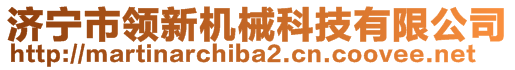 濟(jì)寧市領(lǐng)新機(jī)械科技有限公司