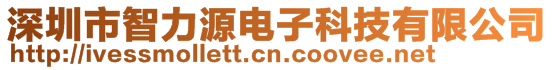 深圳市智力源電子科技有限公司