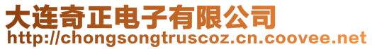 大連奇正電子有限公司