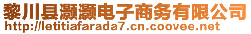 黎川縣灝灝電子商務(wù)有限公司