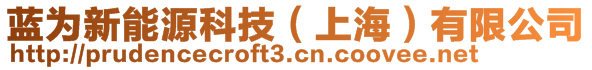 藍(lán)為新能源科技（上海）有限公司