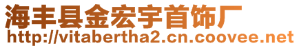 海丰县金宏宇首饰厂