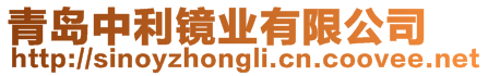 青島中利鏡業(yè)有限公司