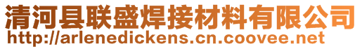 清河县联盛焊接材料有限公司