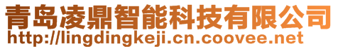 青島凌鼎智能科技有限公司