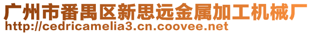 廣州市番禺區(qū)新思遠(yuǎn)金屬加工機(jī)械廠