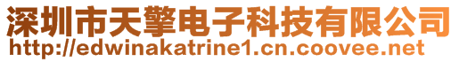 深圳市天擎电子科技有限公司