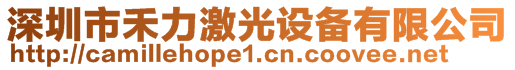 深圳市禾力激光設(shè)備有限公司