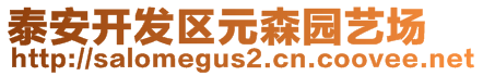 泰安開發(fā)區(qū)元森園藝場