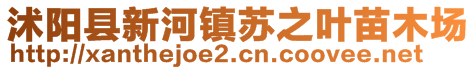 沭陽縣新河鎮(zhèn)蘇之葉苗木場(chǎng)