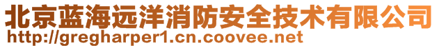 北京藍(lán)海遠(yuǎn)洋消防安全技術(shù)有限公司