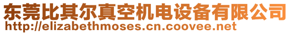 東莞比其爾真空機(jī)電設(shè)備有限公司