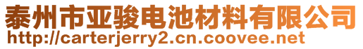 泰州市亞駿電池材料有限公司