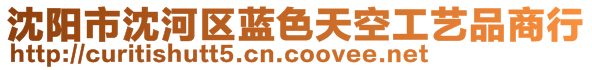 沈陽市沈河區(qū)藍色天空工藝品商行