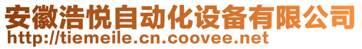 安徽浩悅自動化設備有限公司
