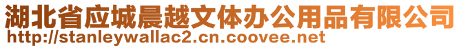 湖北省应城晨越文体办公用品有限公司