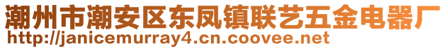 潮州市潮安區(qū)東鳳鎮(zhèn)聯(lián)藝五金電器廠