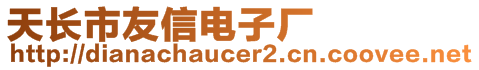 天長(zhǎng)市友信電子廠