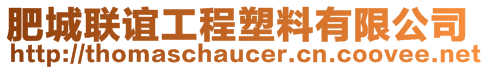 肥城聯(lián)誼工程塑料有限公司